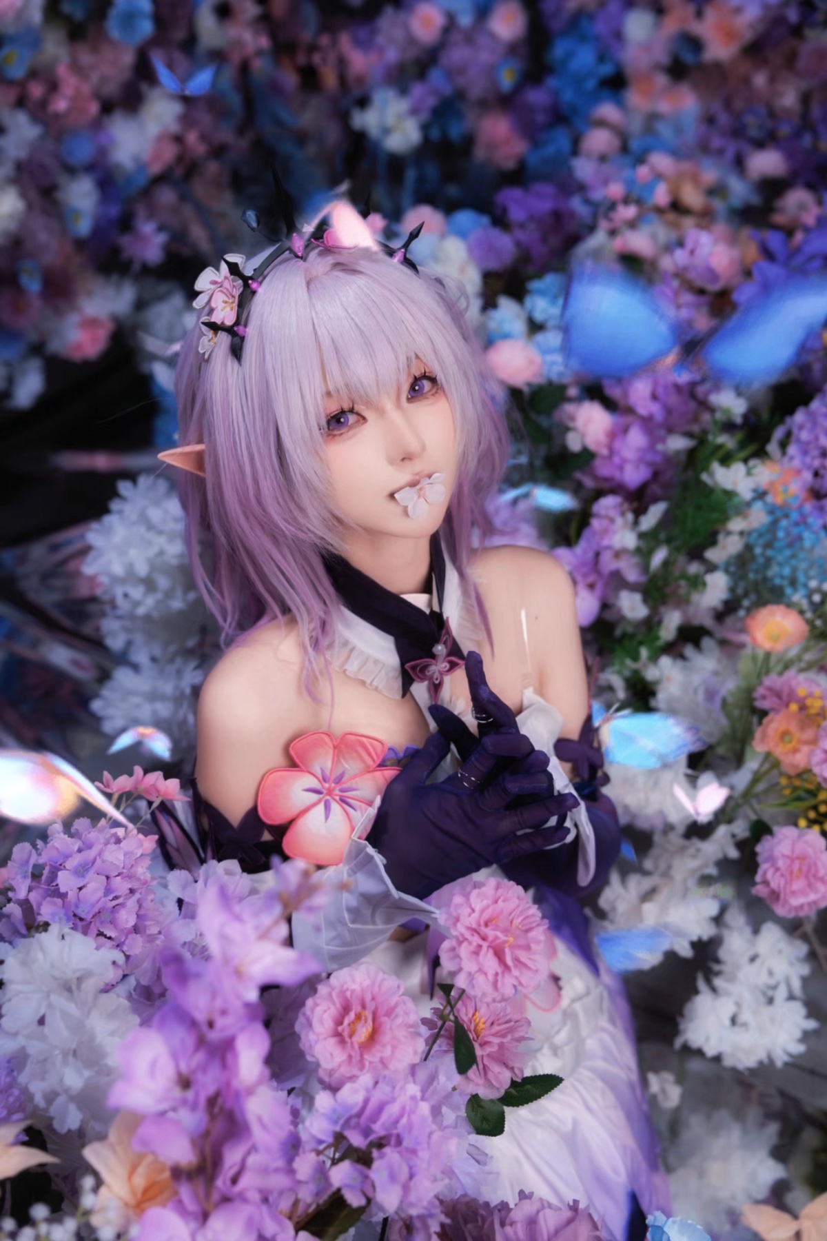 2026.3.29 糊糊 爱弥斯